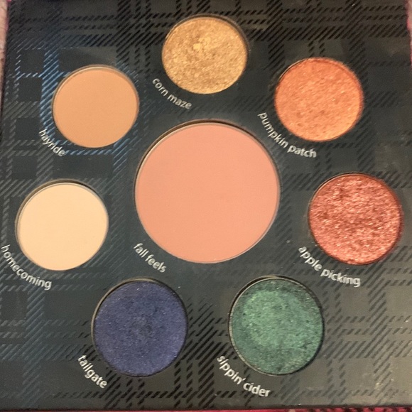 TARTE Fall Feels Eye & Cheek Makeup Palette - Picture 4 of 7